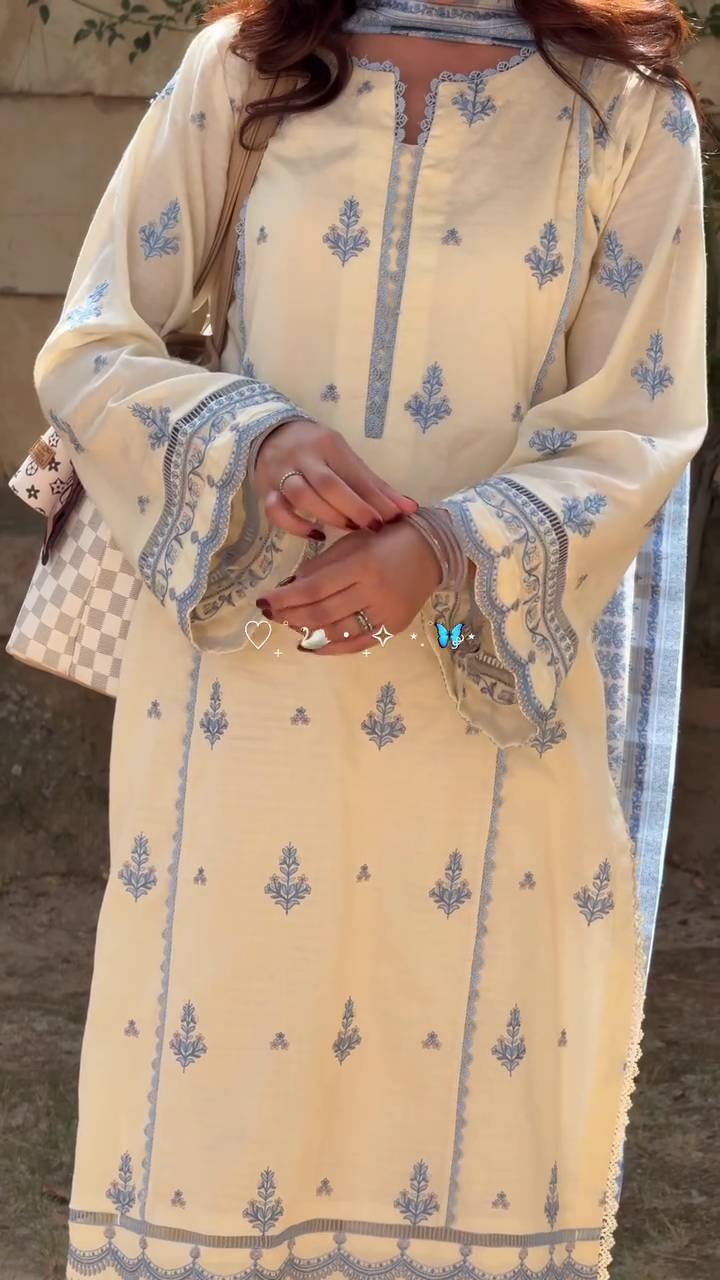 Elegant Printed Kurti Set – Classic Ethnic Charm